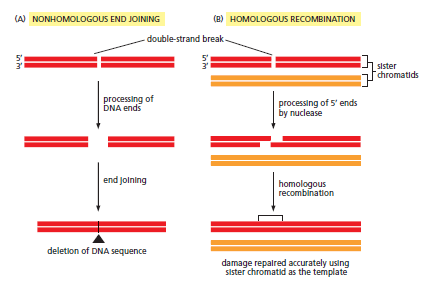 Figure 5-45.png